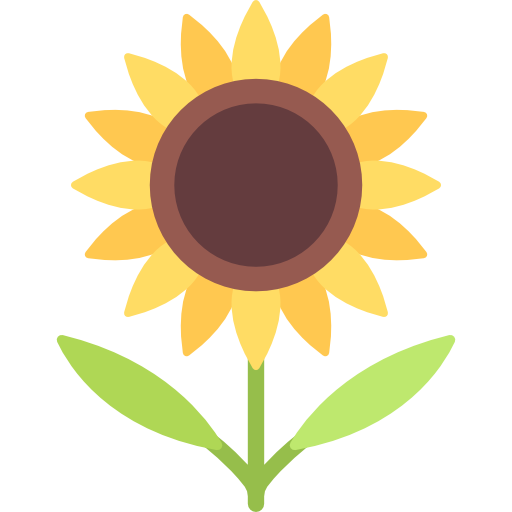 girasol